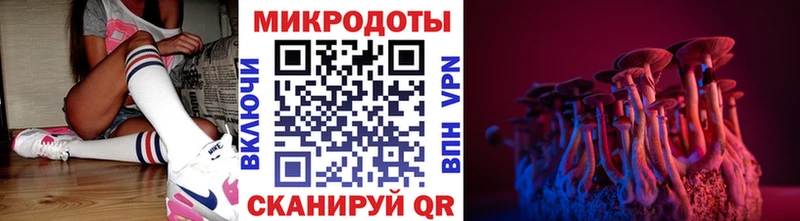 Псилоцибиновые грибы GOLDEN TEACHER  Купить закладки  Рубцовск 